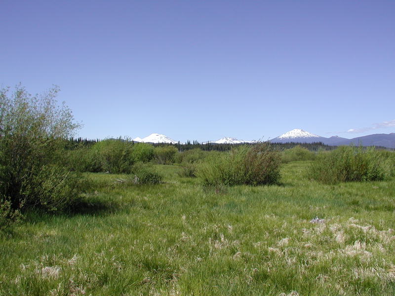 at Crane Prairie 1
