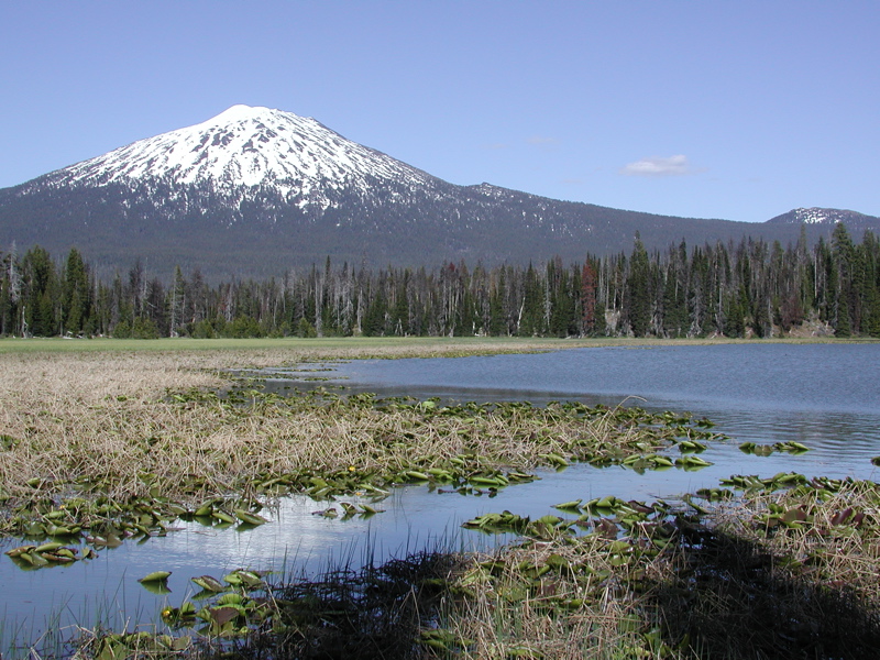 Mt. Bachelor 2