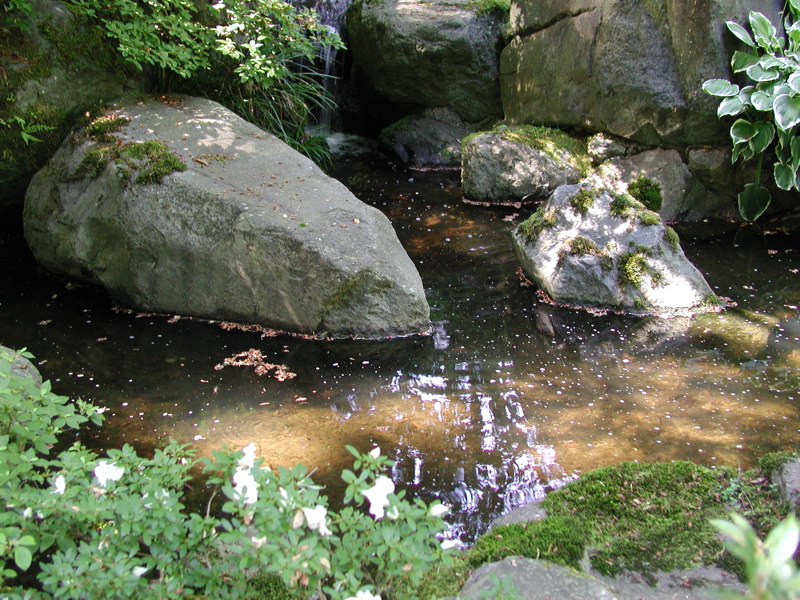 at Japanese Garden 2