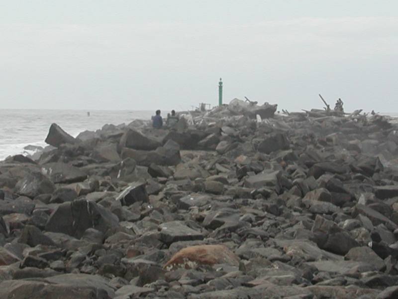 Coast at Florence 1