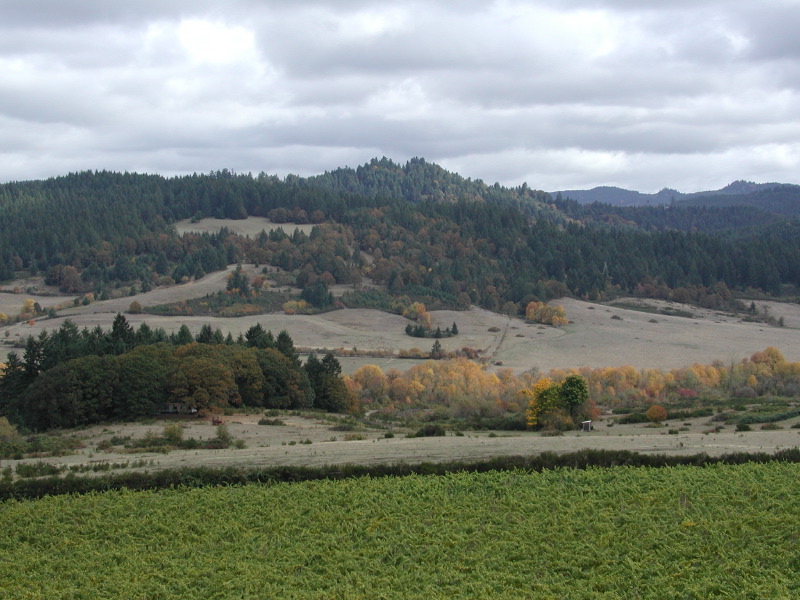 PA200100