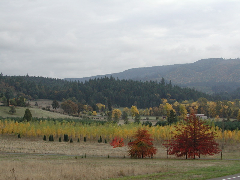 PA200101