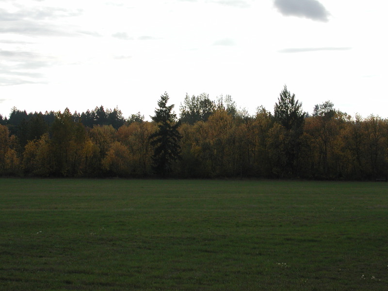 PA200103