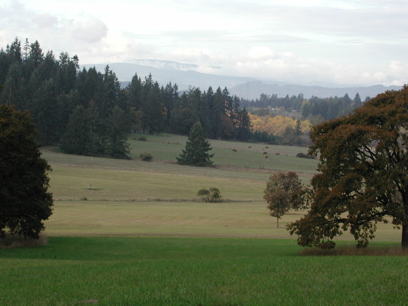 PA200105