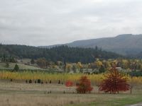 PA200101
