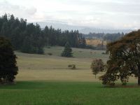 PA200105